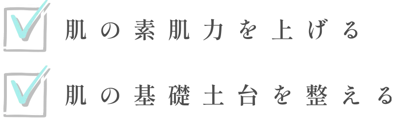 ・肌の素肌力を上げる ・肌の基礎土台を整える